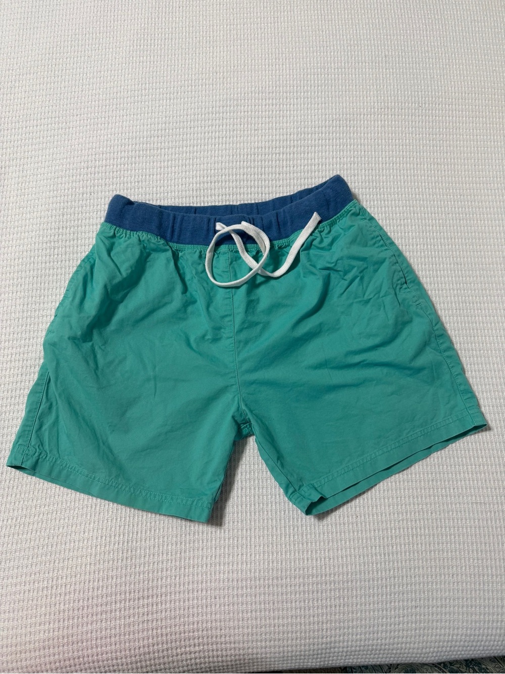 Men's Teal Chubbies Shorts with Navy Waistband